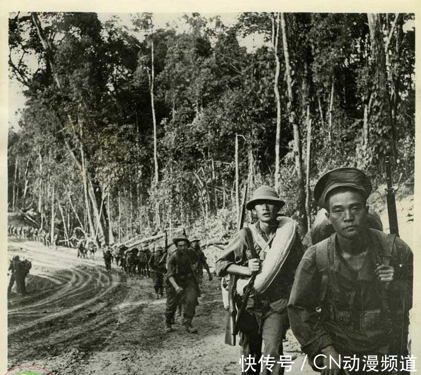 中国远征军为什么不能回国，历史背景与复杂因素解析，中国远征军不能回国的原因及历史背景深度解析