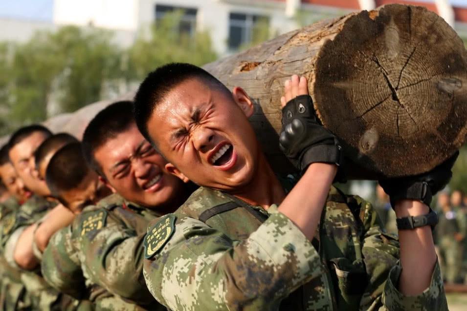中国陆军分为哪些部队，全面解析中国陆军的构成与力量，中国陆军全面解析，构成与力量的深度探讨