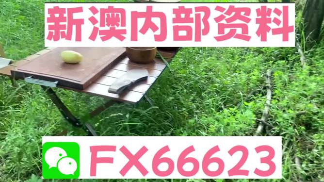 精准一码免费资料大全，一站式资源获取平台，精准一码免费资源获取平台，一站式资料大全