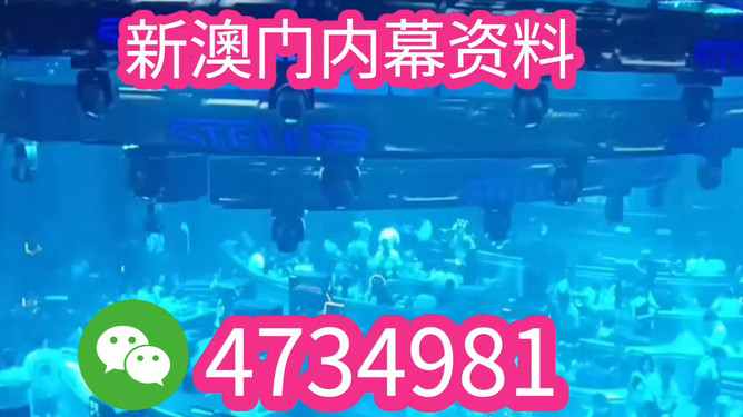 新澳2025今晚开奖资料详解与预测分析，新澳2025今晚开奖资料详解及趋势预测