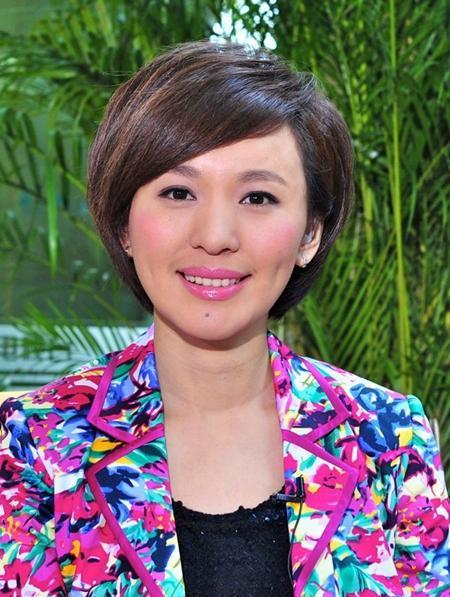 CCTV4漂亮女主持人，闪耀荧屏的璀璨之星，CCTV4美丽女主持人，荧屏上的璀璨之星