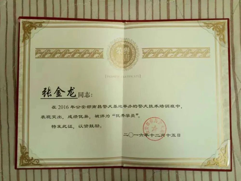 张金龙事件的影响，深度解析与多维度探讨，张金龙事件深度解析，多维度的探讨与影响探究