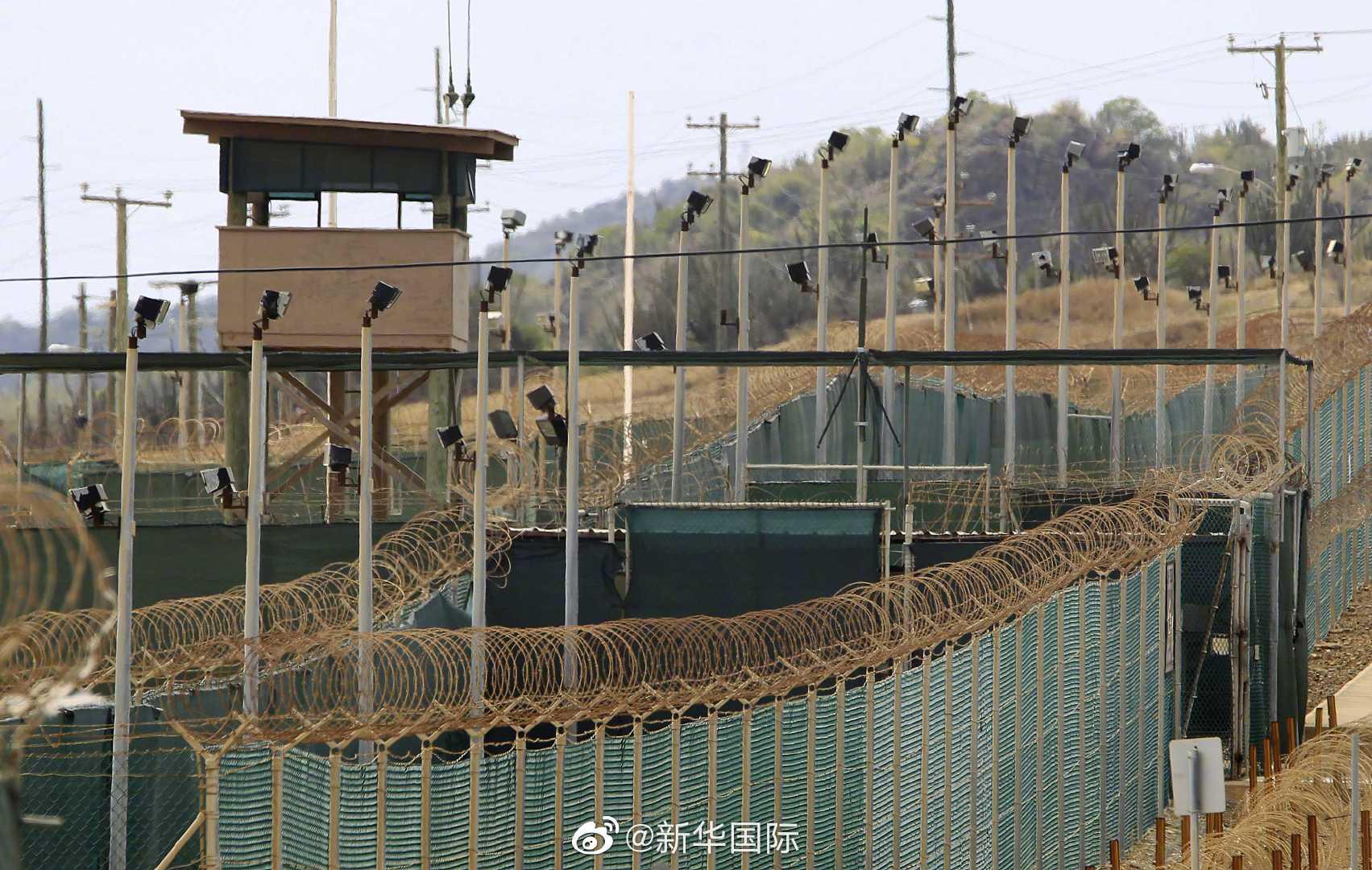 所属国家深度解析