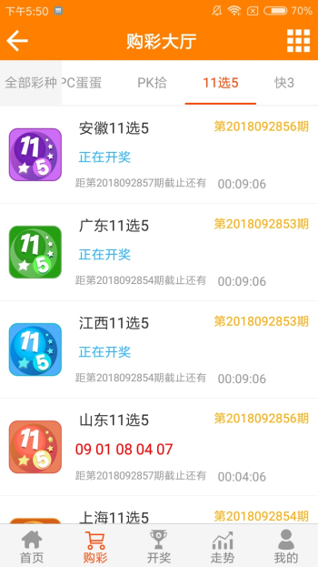 王中王资料与一肖中地图，深度解析与SEO优化策略，王中王资料与一肖中地图，深度解析及SEO优化策略指南