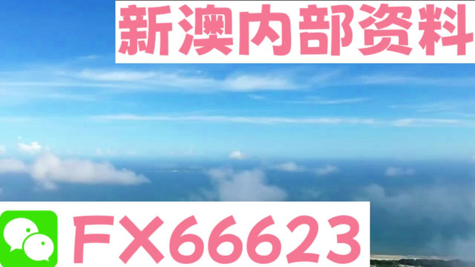 新澳全年免费资料大全——你需要知道的全部信息，新澳全年免费资料大全，全方位信息指南