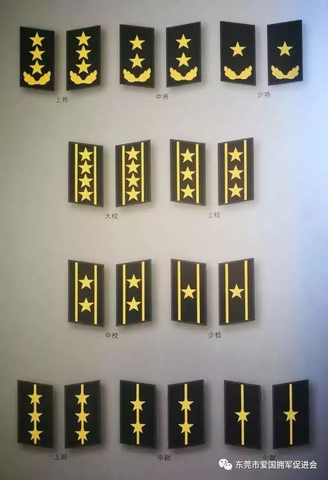 探索中国陆军丛林迷彩服，87式丛林迷彩服的独特风采与图片展示，中国陆军丛林迷彩服，87式丛林迷彩的独特风采与图片展示