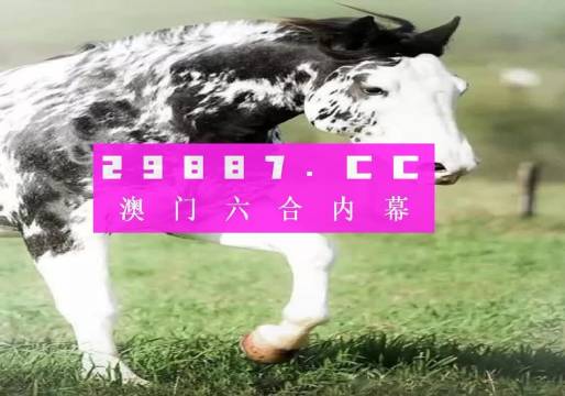 精选王中王三肖一码，深度解析与探索，王中王三肖一码深度解析与探索精选