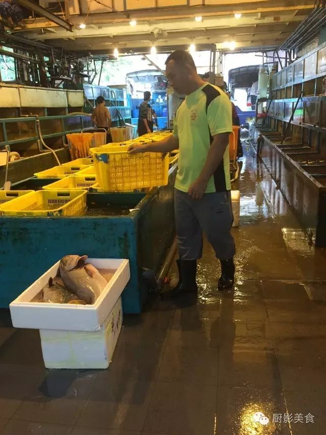 华南海鲜市场老板，创业历程与成功经验揭秘，华南海鲜市场老板创业历程与成功经验大揭秘
