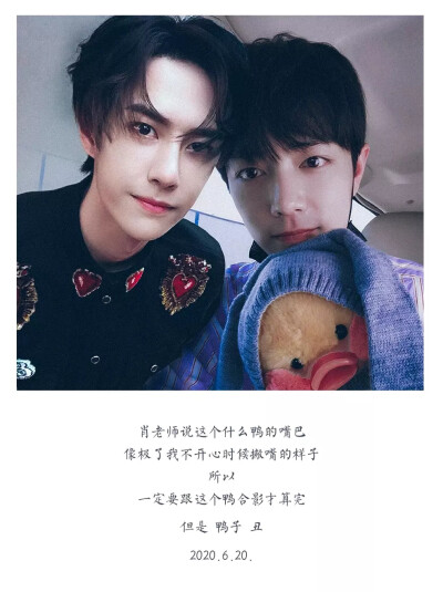 一肖王中王资料详解，揭开神秘面纱下的真相，一肖王中王资料详解，探寻神秘真相