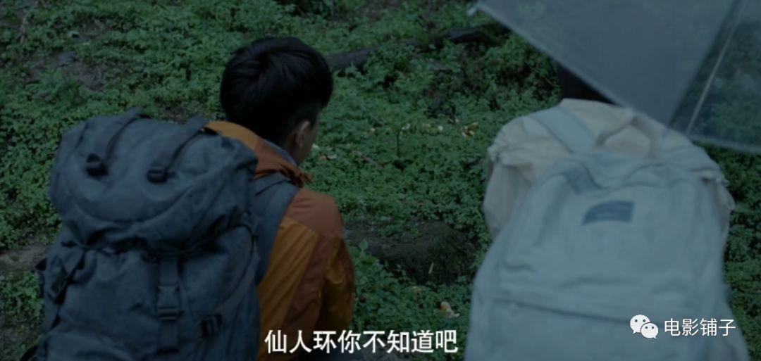 天涯论坛莲蓬鬼话，揭秘背后的故事与神秘面纱，天涯论坛莲蓬鬼话背后的故事与神秘面纱揭秘
