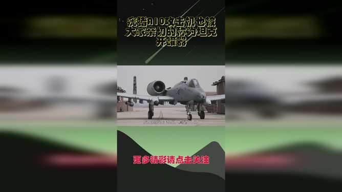关于A10疣猪的价格——全面解析与指南，A10疣猪价格全面解析，购买指南与成本概览