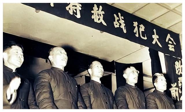 解放军报1975年电子版，历史重现与数字记忆的交织，解放军报1975年电子版，历史与数字记忆的交融时刻