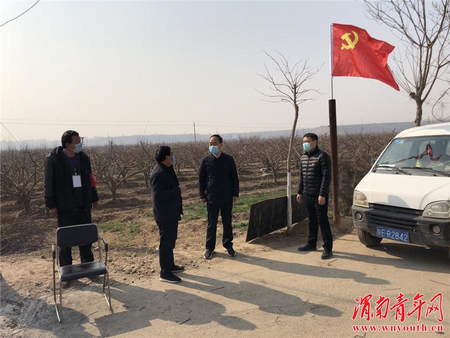 蒲城县疫情最新消息全面解析，蒲城县疫情最新消息全面解读