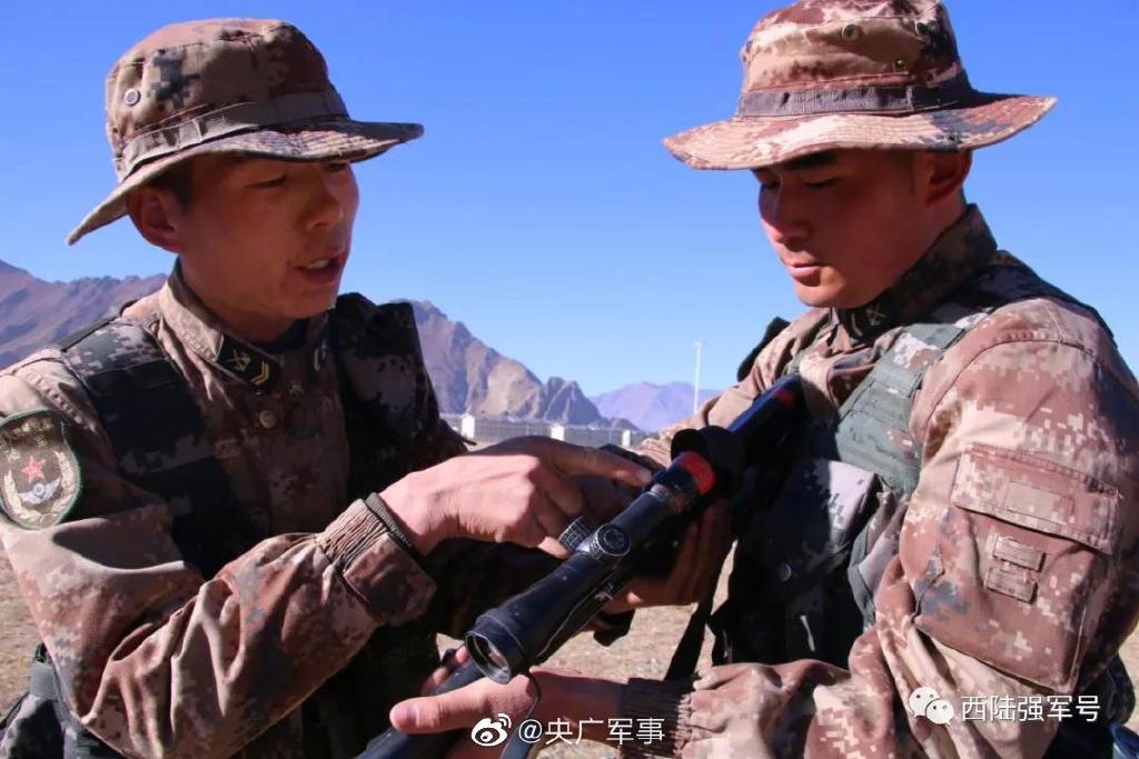 西陆强军号所属兵种深度解析，西陆强军号所属兵种深度剖析