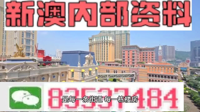 新澳门最精准龙门，探索澳门的魅力与精准娱乐体验，澳门魅力揭秘，精准龙门娱乐体验之旅