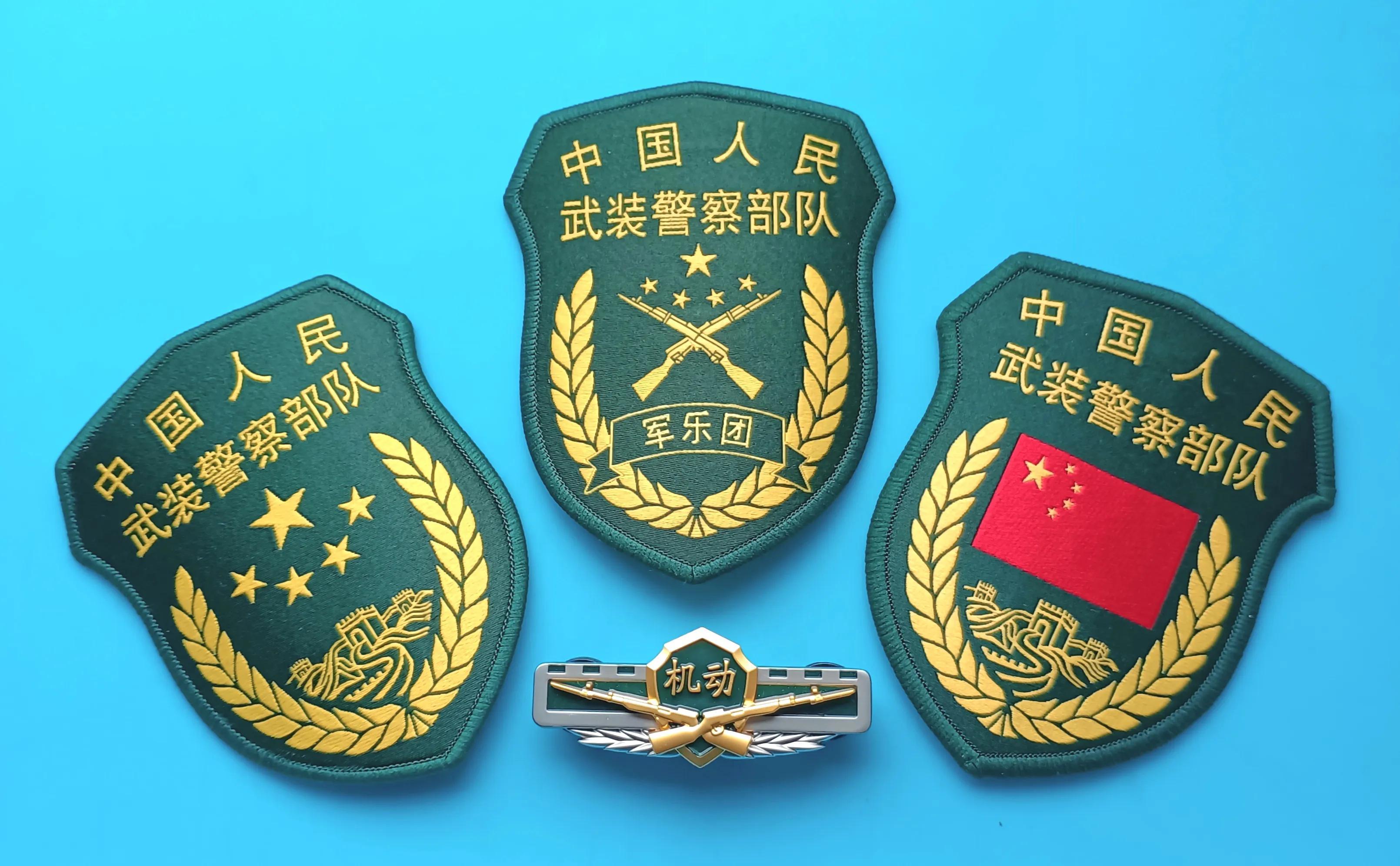 武警臂章21式，深入了解其意义与特点，武警臂章21式，意义与特点深度解析
