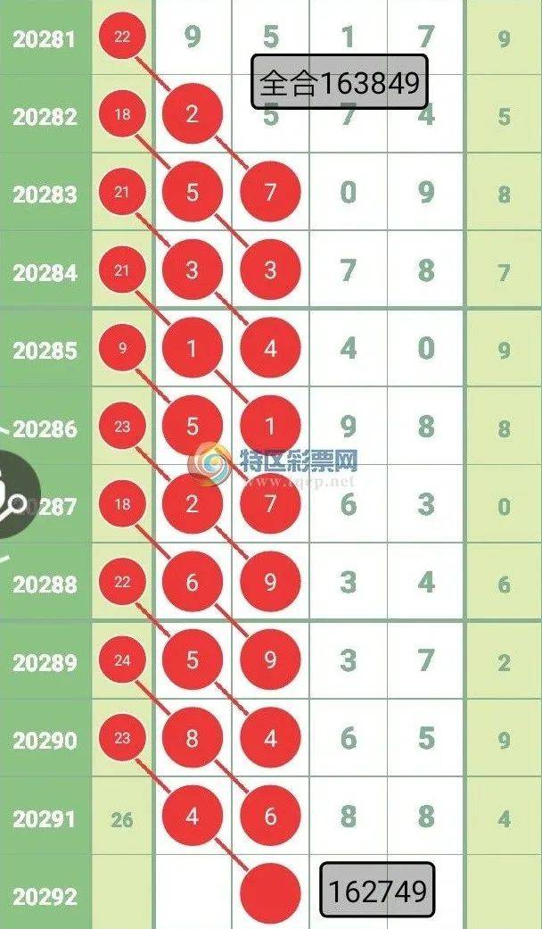 王中王四字解平特一肖——探寻背后的神秘含义，王中王四字解平特一肖，神秘含义探寻