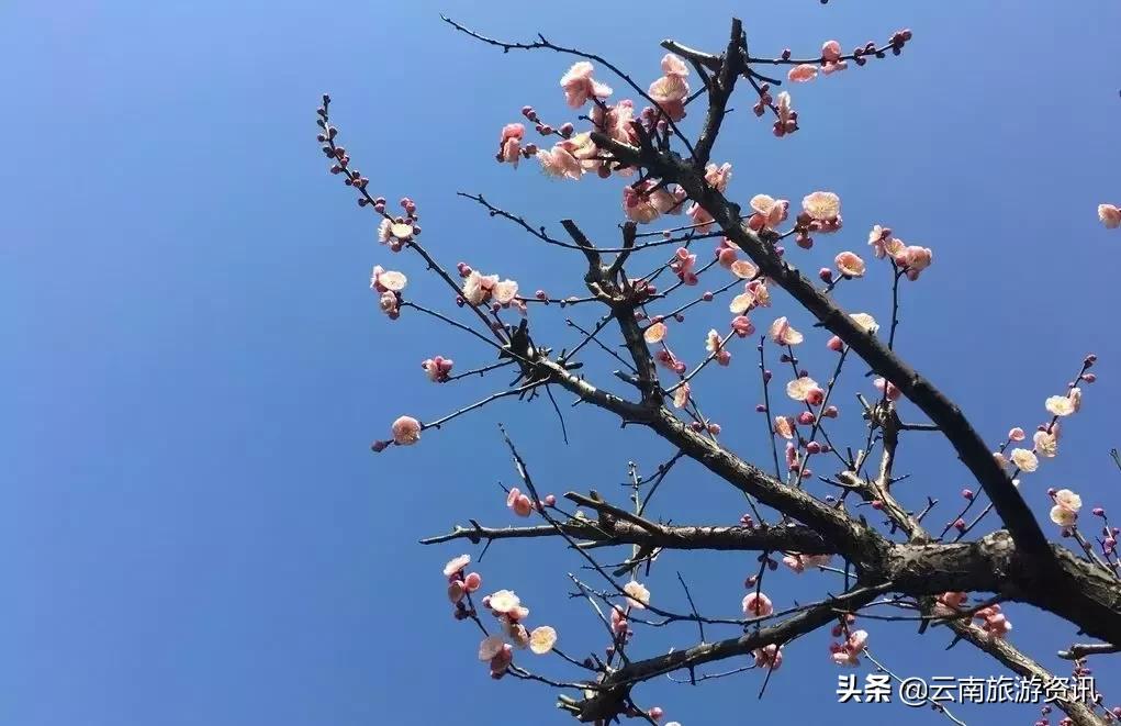 深海探索