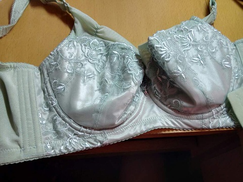 四肖期期谁一王中王，揭秘背后的秘密，揭秘四肖期期背后的王者秘密