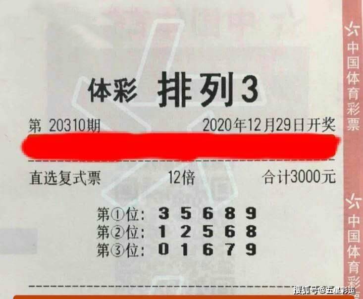 三肖多少倍，揭秘生肖彩票的奥秘，揭秘生肖彩票三肖的倍数奥秘