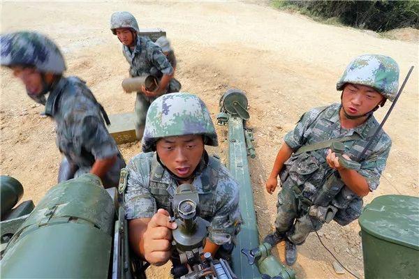 中国有几个远火旅，深度解析，中国远火旅数量及深度解析
