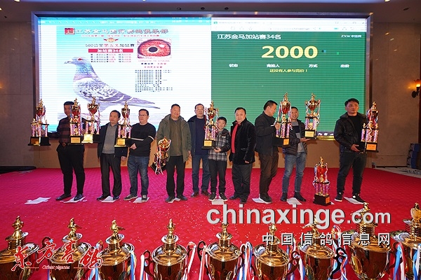 藏娇阁论坛——探索神秘与魅力的交汇点，藏娇阁论坛，神秘魅力交汇点的探索之旅