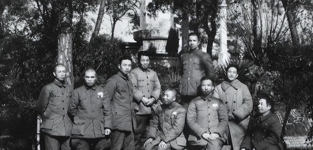 血战万家岭全集免费观看，历史战争片的震撼重现，血战万家岭，历史战争片的震撼重现，全集免费观看