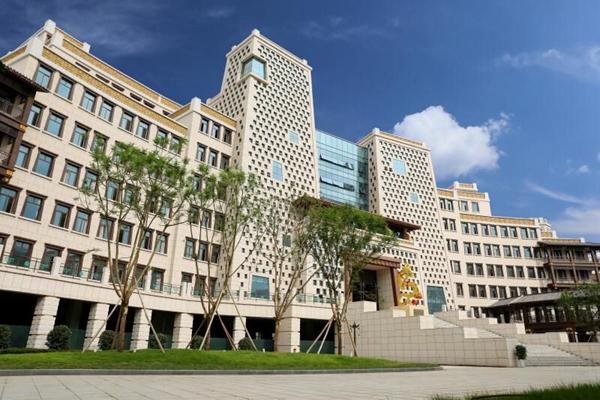 中国民用航空飞行学院专科，探索航空领域的重要学府，中国民用航空飞行学院专科，航空领域的重要学府探索