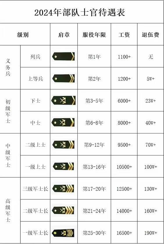 关于七级士官军衔，荣誉与职责的象征，七级士官军衔，荣誉与职责的彰显