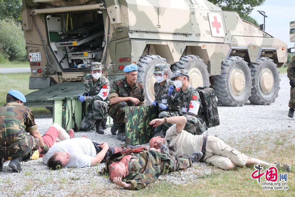 中德卫勤实兵联演演员表详解，中德卫勤实兵联演演员表全面解析