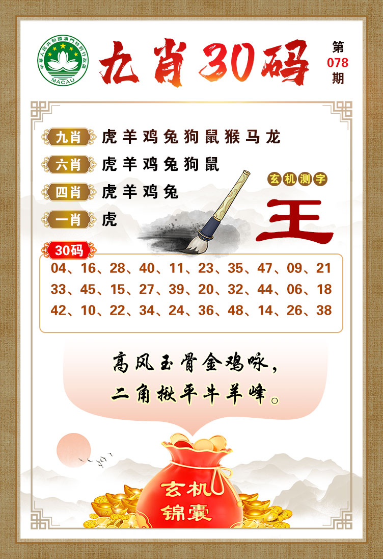 深度解析与策略探讨