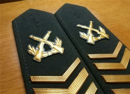 中国士官等级及标志详解，中国士官等级与标志全面解读