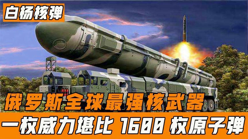 关于白杨洲际导弹价格的探讨，白杨洲际导弹价格探讨，成本与价值的考量
