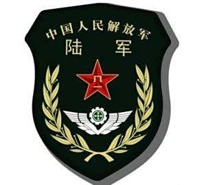 探索历史中的荣耀——揭秘113师飞虎师臂章的独特魅力，揭秘飞虎师臂章的独特魅力，历史荣耀的探索