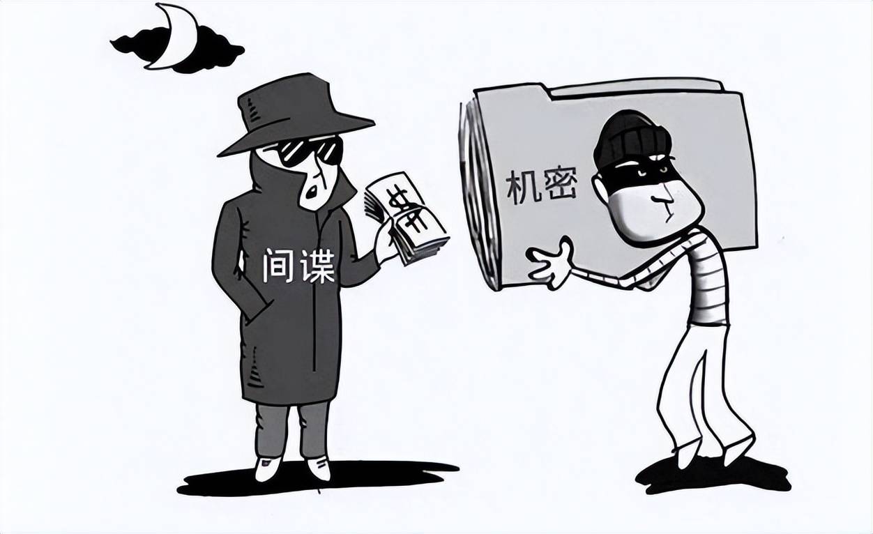 间谍王某个人资料深度解析，王某间谍个人资料深度剖析