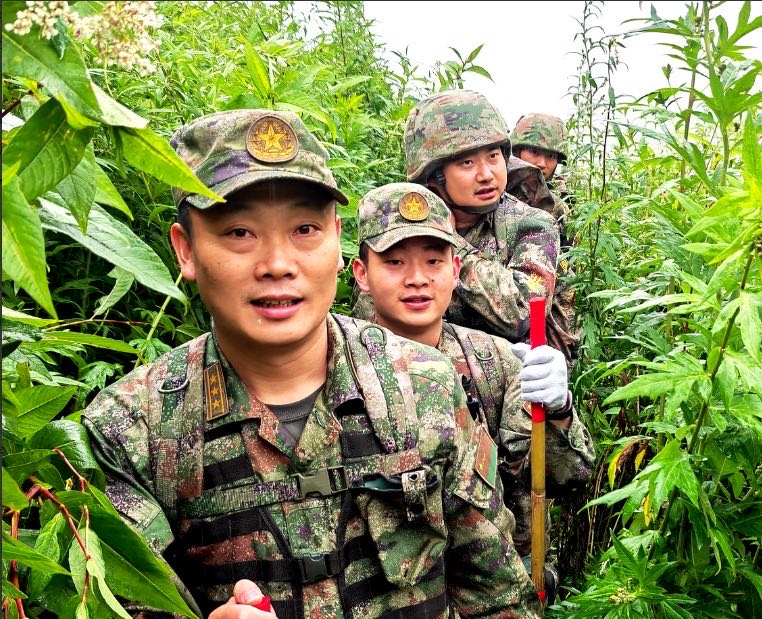揭秘38集团军66011部队侦查科，前沿情报的守护者，揭秘前沿情报守护者，38集团军66011部队侦查科探秘