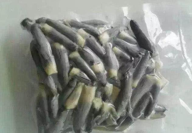 歼-8能否超越B-2隐身轰炸机，技术分析与展望，歼-8与技术展望，能否超越B-2隐身轰炸机的挑战与前景分析