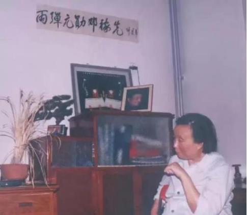 邓稼先妻子