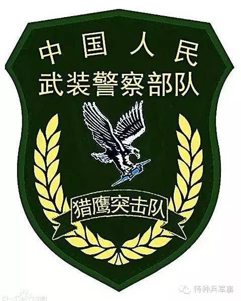 中国人民武装警察部队特种警察学院特种作战大队，精英培育与战斗力塑造的前沿阵地，中国人民武装警察部队特种警察学院特种作战大队，精英培育与战斗力塑造的前沿阵地风采展示