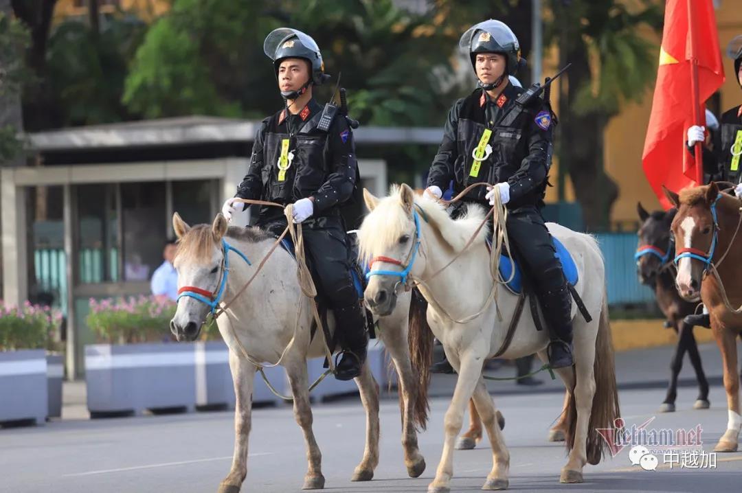 中国人民警察武装部队组建时间，历史沿革与意义解析，中国人民警察武装部队组建历程、历史沿革与深远意义解析