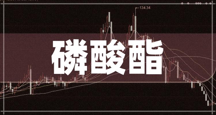 最新动态报道