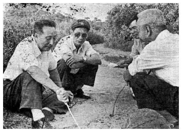 海南岛战役中薛岳的卓越表现与战略智慧，海南岛战役中薛岳的战略智慧与卓越表现