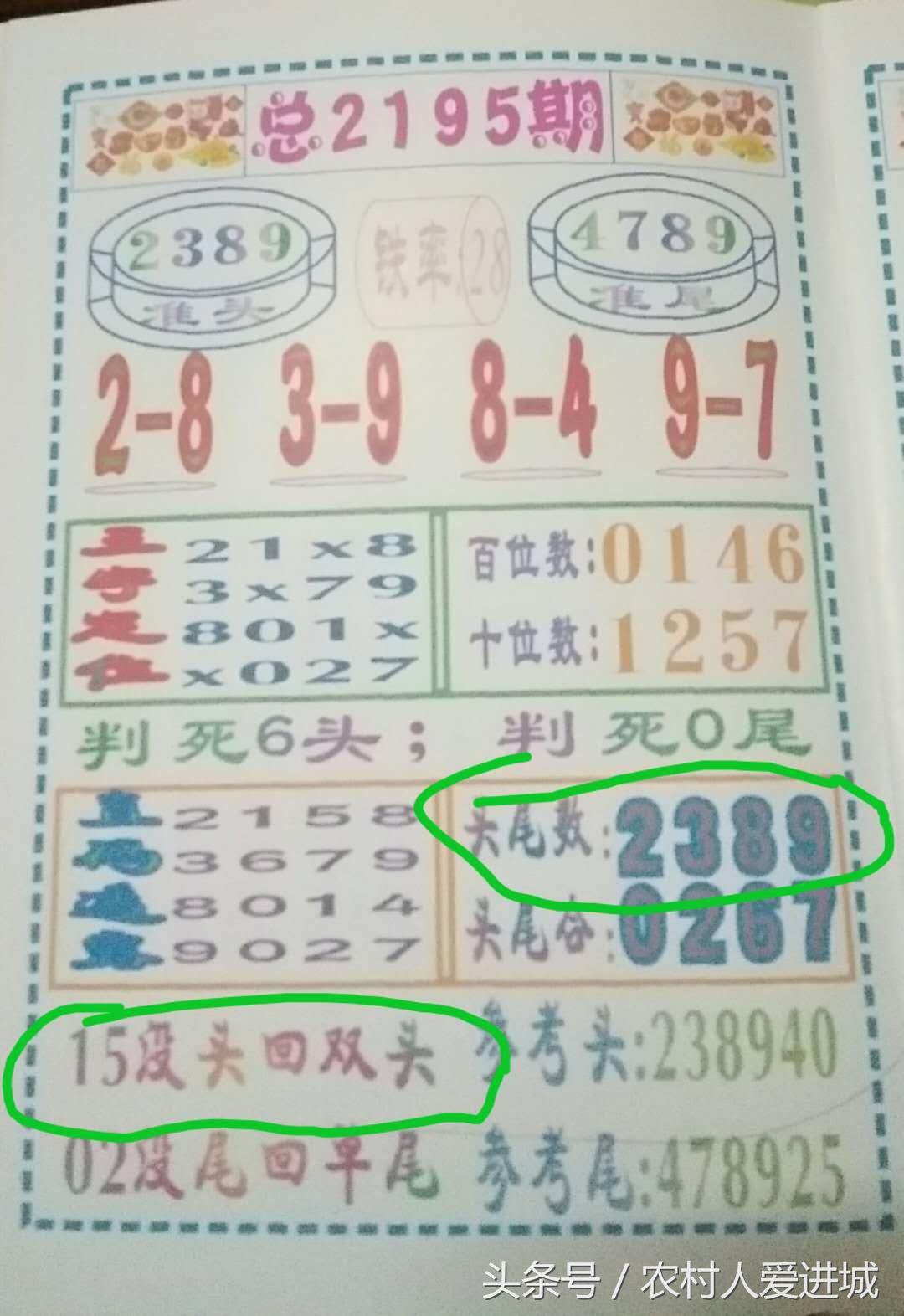 澳门三期必开一肖，揭秘生肖彩票背后的秘密，揭秘澳门生肖彩票三期必开一肖的秘密