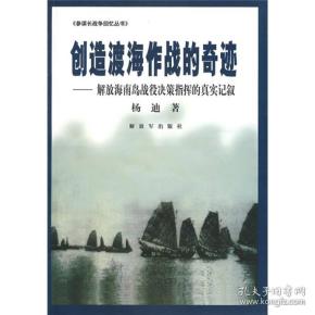海南岛战役，揭秘指挥官的神秘面纱，海南岛战役揭秘，指挥官神秘面纱下的战略决策