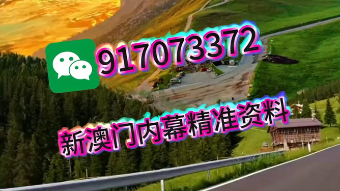 王中王一肖一马中特，探寻背后的秘密与独特之处，王中王一肖一马，背后的秘密与独特魅力探寻