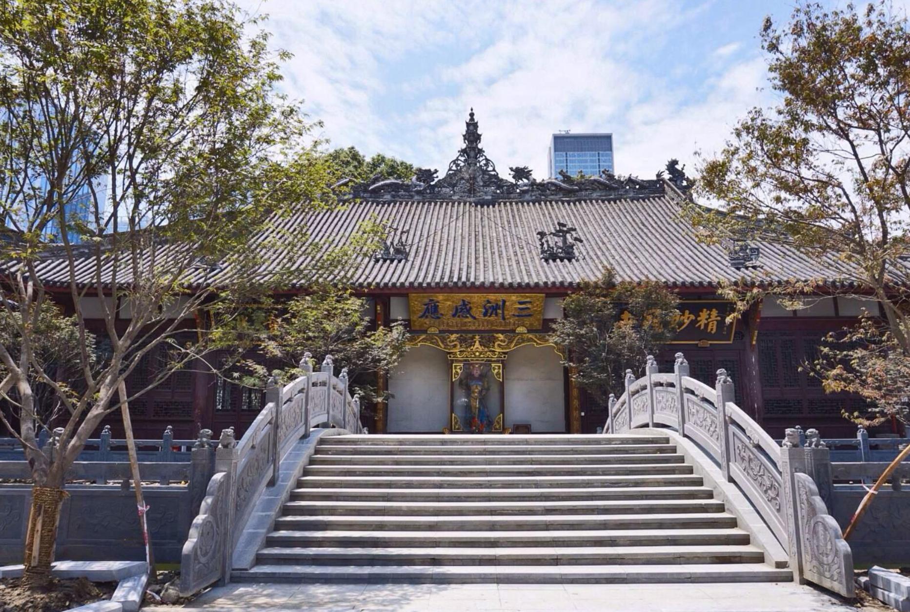 天涯论坛荷出，深度探索与独特魅力，天涯论坛荷出，深度探索与独特魅力的世界