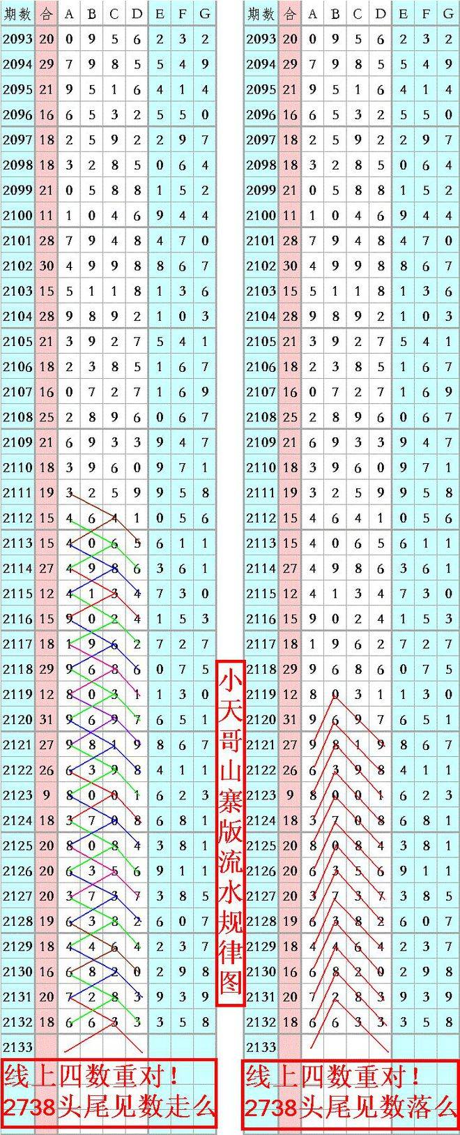 王中王一肖平特免费，揭秘背后的秘密与真相，揭秘王中王一肖平特免费背后的真相与秘密
