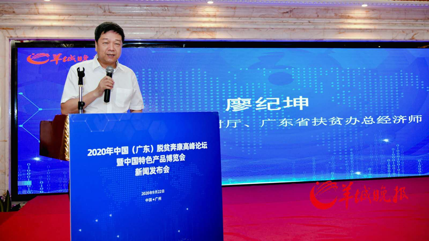独特魅力与优势解析