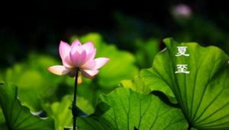 夏至，探寻今日节气背后的故事与奥秘，夏至节气背后的故事与奥秘探寻