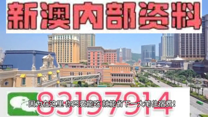 澳门精准的资料大全，探索与揭秘，澳门精准资料大全，揭秘与探索之旅